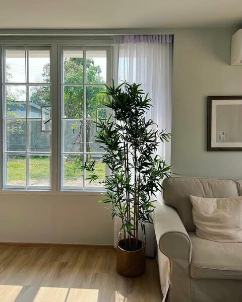 ท่ามะขาม, กาญจนบุรี, ท่ามะขาม, เมืองกาญจนบุรี, กาญจนบุรี, 800 ตร.ม., บ้านเดี่ยว ขาย, โดย ปภัชญา ธนัตถ์ภรณ์, 11787566 - DDproperty.com