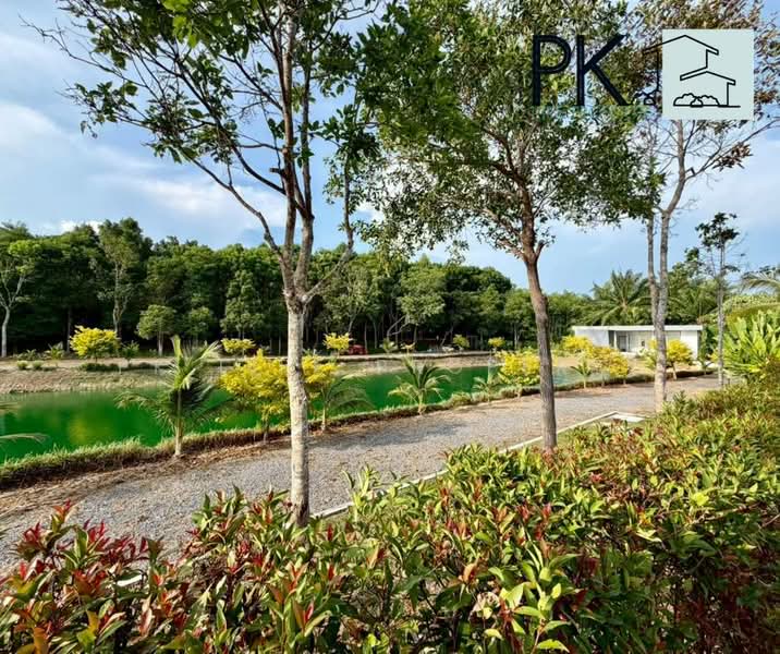 13R0170 Pool villa for rent 2 bedroom 3 bathroom 65,000/month at paklok have fully furnished, Phuket, Pa Khlok, Thalang, Phuket, 2 Bedrooms, 200 sqm, Villa For Rent, by PK LIFE Property, 11787825 - DDproperty.com