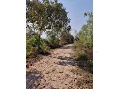 ขาย - อ. หนองหญ้าไซ จ. สุพรรณบุรี, สุพรรณบุรี