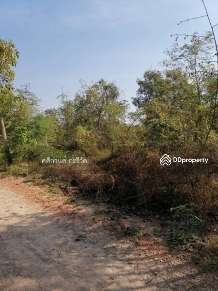 ขาย - อ. หนองหญ้าไซ จ. สุพรรณบุรี, สุพรรณบุรี