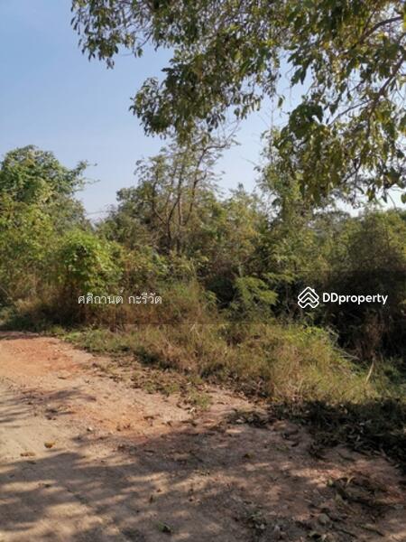 ขาย - อ. หนองหญ้าไซ จ. สุพรรณบุรี, สุพรรณบุรี