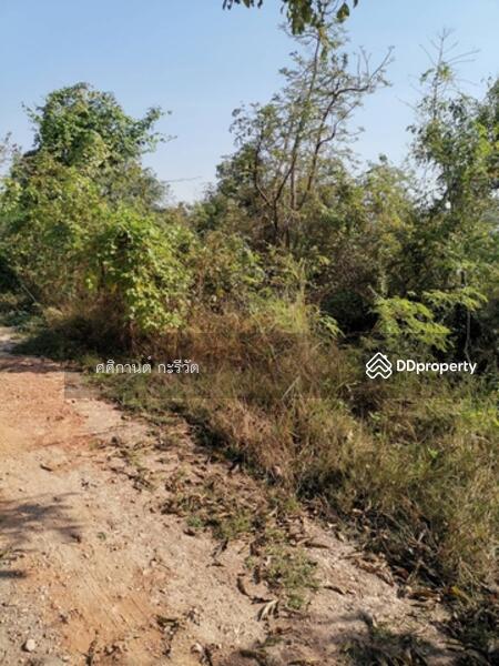 ขาย - อ. หนองหญ้าไซ จ. สุพรรณบุรี, สุพรรณบุรี