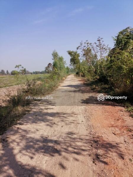 ขาย - อ. หนองหญ้าไซ จ. สุพรรณบุรี, สุพรรณบุรี
