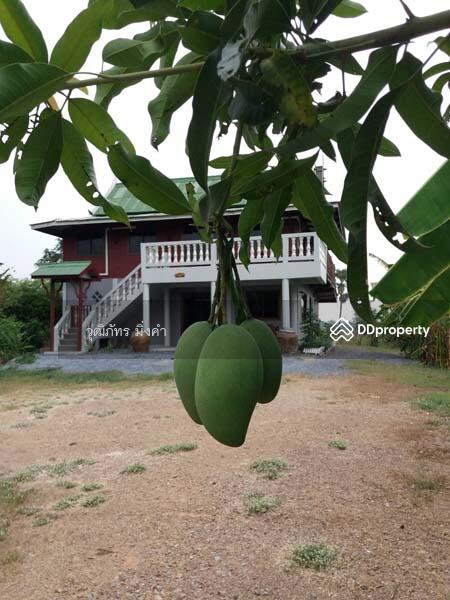 For Rent - Bang Pahan, Phra Nakhon Si Ayutthaya