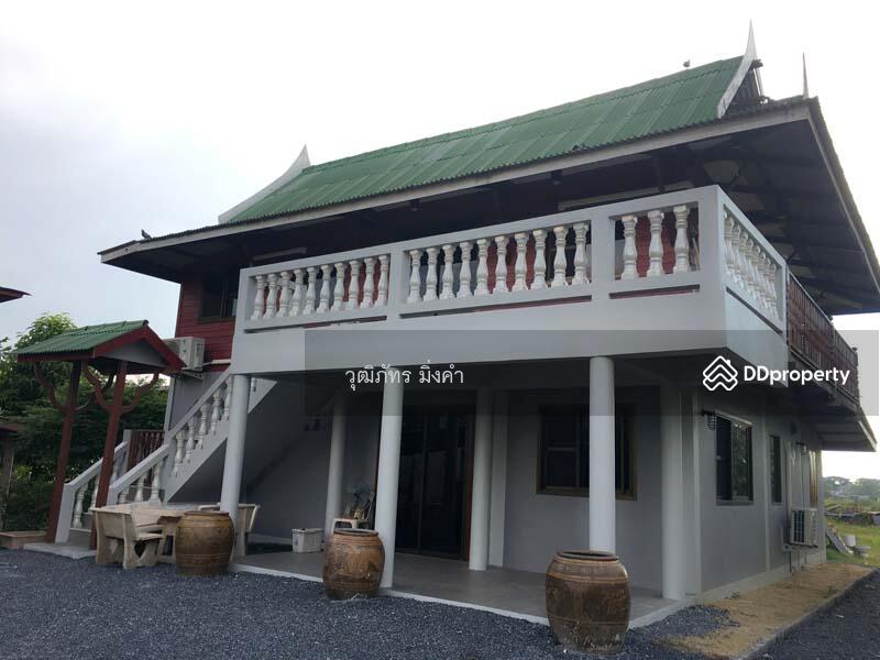 ให้เช่า - ต.พุทเลา, พระนครศรีอยุธยา