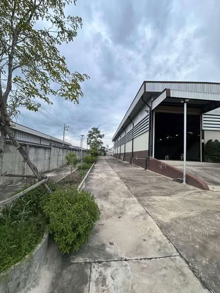 Warehouse Factory 3 rai, Bo Win, Sriracha, Chonburi, Chon Buri (Pattaya), Bo Win, Si Racha, Chon Buri (Pattaya), , 2,700 sqm, Warehouse/Factory For Sale, by JST Realty Group Co., Ltd., 11788585 - DDproperty.com