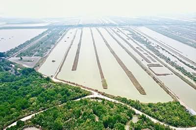 ขาย - ที่ดินพร้อมบ้าน เนื้อที่ 106-3-80 ไร่ (ใกล้วัดเขาตะเครา,ใกล้ครัวครูจันทร์) อำเภอบ้านแหลม เพชรบุรี, เพชรบุรี