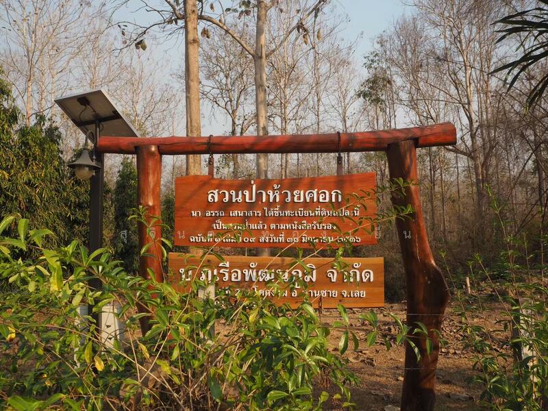 ขาย - บ้านพักตากอากาศ (สวนป่าห้วยศอก)แปลงสวยที่สุดแปลงสุดท้ายของอำเภอด่านซ้าย จังหวัดเลย, เลย