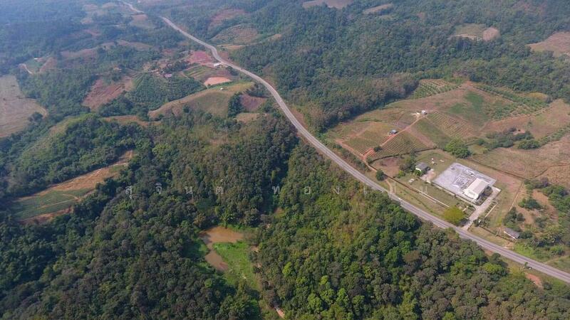 ขาย - บ้านพักตากอากาศ (สวนป่าห้วยศอก)แปลงสวยที่สุดแปลงสุดท้ายของอำเภอด่านซ้าย จังหวัดเลย, เลย