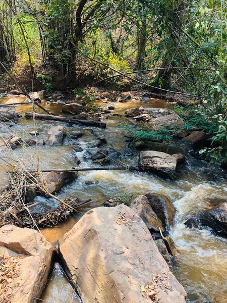 ขาย - บ้านพักตากอากาศ (สวนป่าห้วยศอก)แปลงสวยที่สุดแปลงสุดท้ายของอำเภอด่านซ้าย จังหวัดเลย, เลย