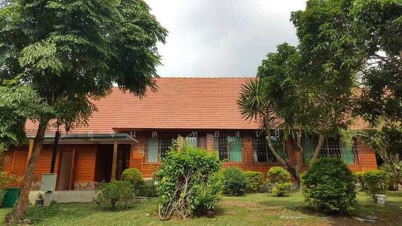 ขาย - บ้านพักตากอากาศ (สวนป่าห้วยศอก)แปลงสวยที่สุดแปลงสุดท้ายของอำเภอด่านซ้าย จังหวัดเลย, เลย