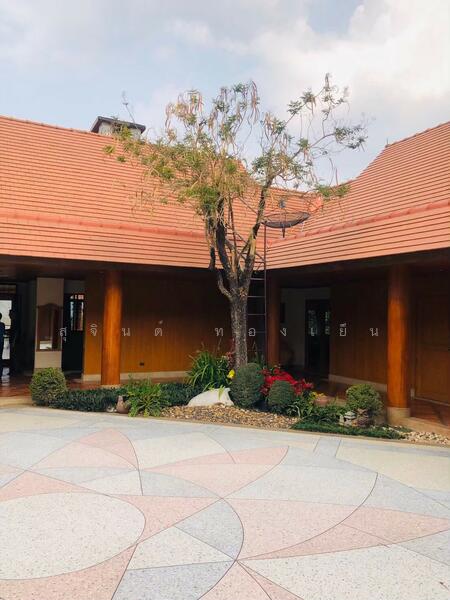 ขาย - บ้านพักตากอากาศ (สวนป่าห้วยศอก)แปลงสวยที่สุดแปลงสุดท้ายของอำเภอด่านซ้าย จังหวัดเลย, เลย