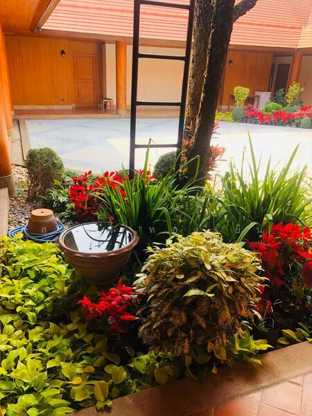 ขาย - บ้านพักตากอากาศ (สวนป่าห้วยศอก)แปลงสวยที่สุดแปลงสุดท้ายของอำเภอด่านซ้าย จังหวัดเลย, เลย