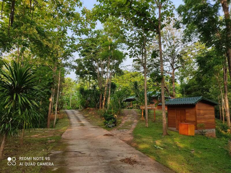 ขาย - บ้านพักตากอากาศ (สวนป่าห้วยศอก)แปลงสวยที่สุดแปลงสุดท้ายของอำเภอด่านซ้าย จังหวัดเลย, เลย