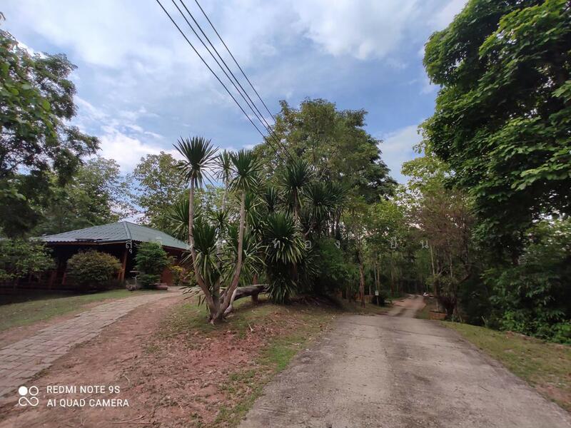 ขาย - บ้านพักตากอากาศ (สวนป่าห้วยศอก)แปลงสวยที่สุดแปลงสุดท้ายของอำเภอด่านซ้าย จังหวัดเลย, เลย