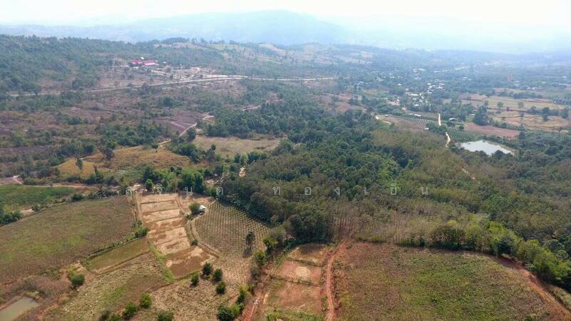 ขาย - บ้านพักตากอากาศ (สวนป่าห้วยศอก)แปลงสวยที่สุดแปลงสุดท้ายของอำเภอด่านซ้าย จังหวัดเลย, เลย