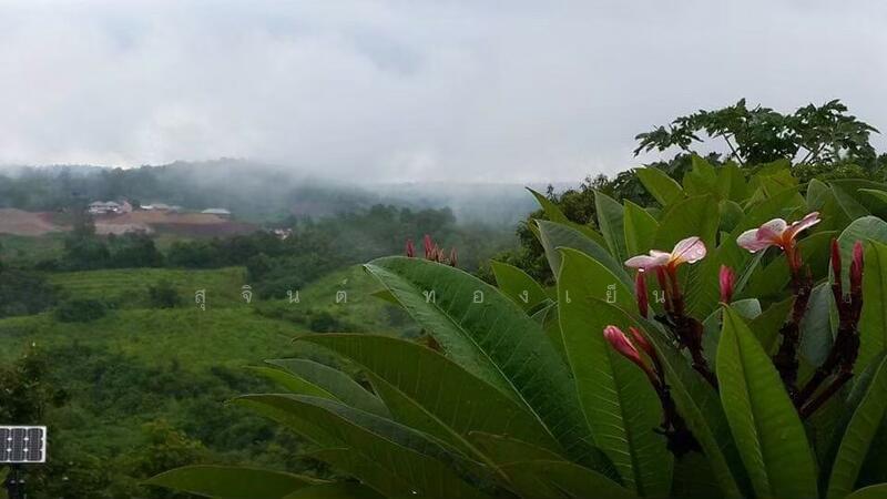 ขาย - บ้านพักตากอากาศ (สวนป่าห้วยศอก)แปลงสวยที่สุดแปลงสุดท้ายของอำเภอด่านซ้าย จังหวัดเลย, เลย
