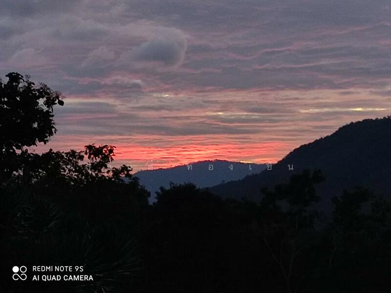 ขาย - บ้านพักตากอากาศ (สวนป่าห้วยศอก)แปลงสวยที่สุดแปลงสุดท้ายของอำเภอด่านซ้าย จังหวัดเลย, เลย