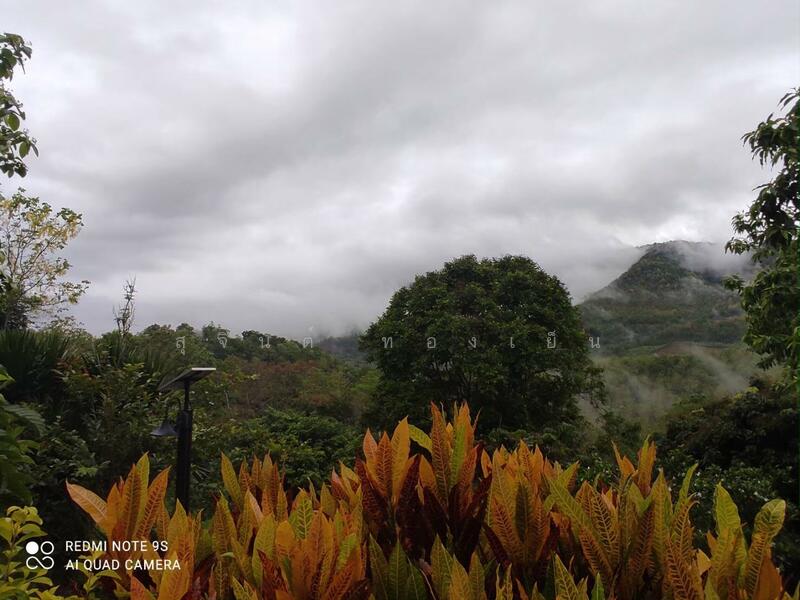 ขาย - บ้านพักตากอากาศ (สวนป่าห้วยศอก)แปลงสวยที่สุดแปลงสุดท้ายของอำเภอด่านซ้าย จังหวัดเลย, เลย