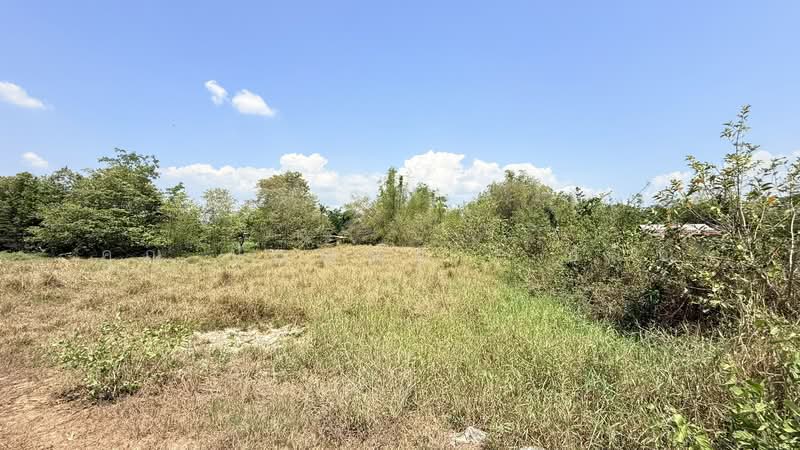 ที่ดิน 1 ไร่ 200 ตารางวา ใกล้แยกศรีนาวา, Nakhon Nayok, Srinawa, Muang Nakhon Nayok, Nakhon Nayok, , 2,400 sqm, Land For Sale, by คุณ ปัณณณัฐ ( ปัณณ์ ), 11789736 - DDproperty.com