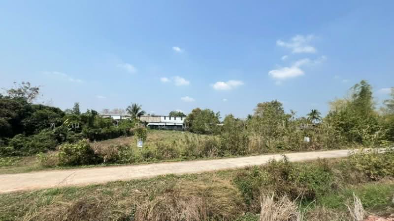 ที่ดิน 1 ไร่ 200 ตารางวา ใกล้แยกศรีนาวา, Nakhon Nayok, Srinawa, Muang Nakhon Nayok, Nakhon Nayok, , 2,400 sqm, Land For Sale, by คุณ ปัณณณัฐ ( ปัณณ์ ), 11789736 - DDproperty.com