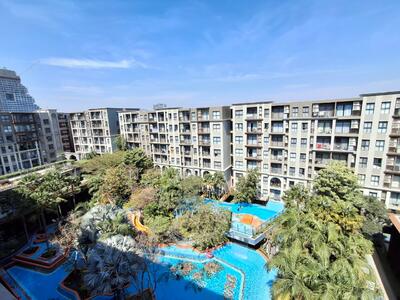 ขาย - La Habana Hua Hin : ลา ฮาบานา หัวหิน, ประจวบคีรีขันธ์