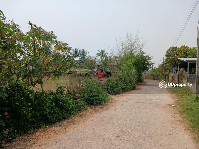 ขาย - ที่ดินโนนแดง นครราชสีมา, นครราชสีมา