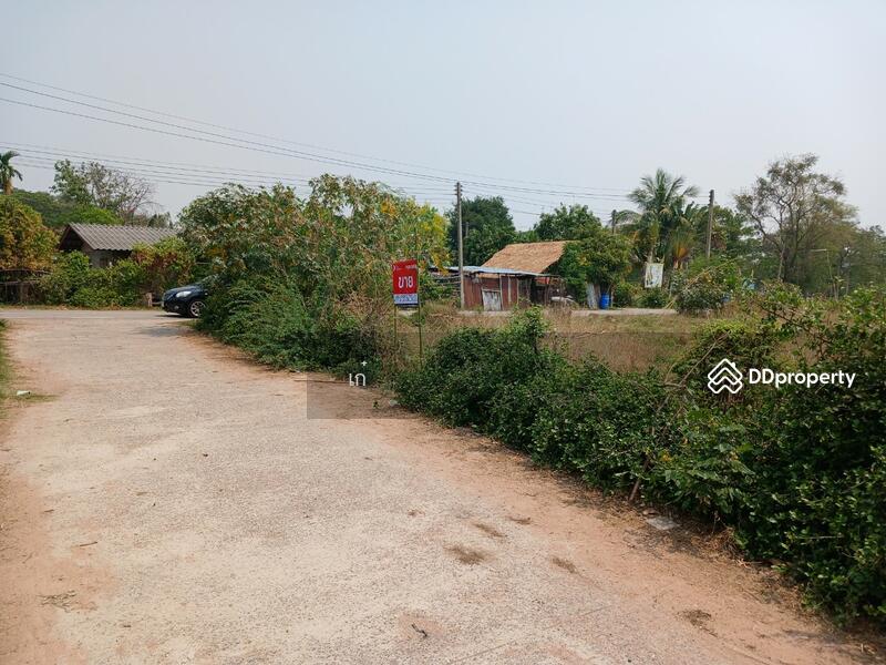 ขาย - ที่ดินโนนแดง นครราชสีมา, นครราชสีมา