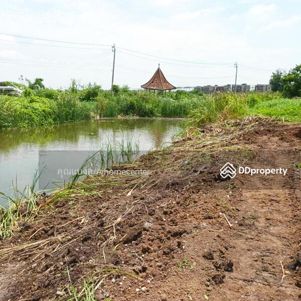 ขาย - K.C. Garden Home : เค.ซี. การ์เด้นโฮม, กรุงเทพ