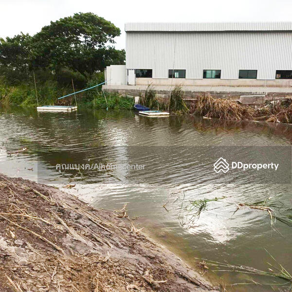 ขาย - K.C. Garden Home : เค.ซี. การ์เด้นโฮม, กรุงเทพ