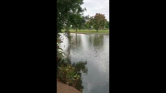 The Royal golf and country club Lardkrabang, Samut Prakan, ุ69 หลวงแพ่ง, Srisa Chorakhe Noi, Bang Sao Thong, Samut Prakan, , 3,200 sqm, Land For Sale, by Kasidit Vasuvat, 11790724 - DDproperty.com