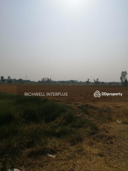 For Sale - Land for sale, Pak Tok, area 15 rai, near Phitsanulok Stadium - 5 km.,, Phitsanulok