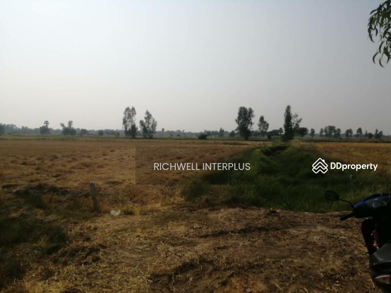 For Sale - Land for sale, Pak Tok, area 15 rai, near Phitsanulok Stadium - 5 km.,, Phitsanulok