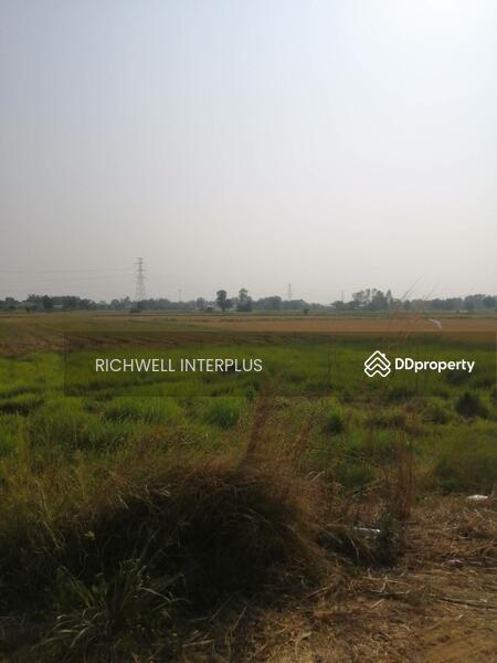 For Sale - Land for sale, Pak Tok, area 15 rai, near Phitsanulok Stadium - 5 km.,, Phitsanulok