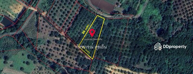 ขาย - ที่ดิน ต.ปากช่อง อ.หล่มสัก จ.เพชรบูรณ์, เพชรบูรณ์