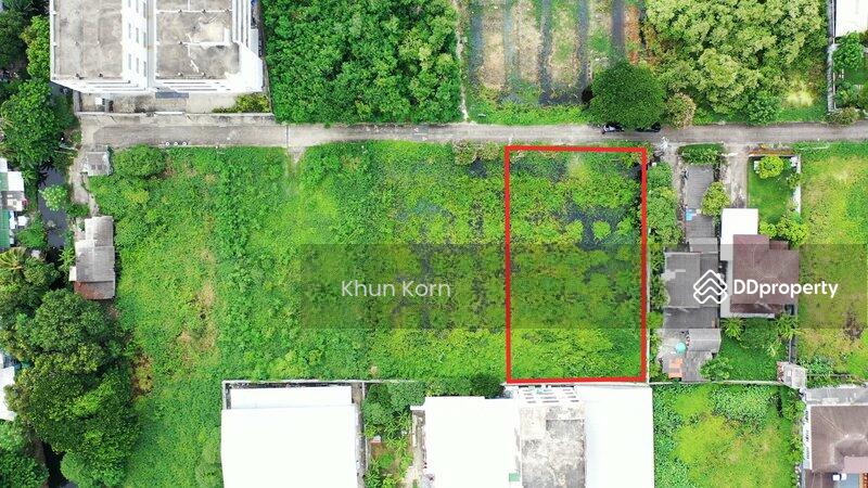 ขาย - ด่วน! ขายเท่าราคาประเมิน ที่ดินซอยเพชรเกษม 77 ที่ดินซอยเพชรเกษม 77 แยก 4, กรุงเทพ
