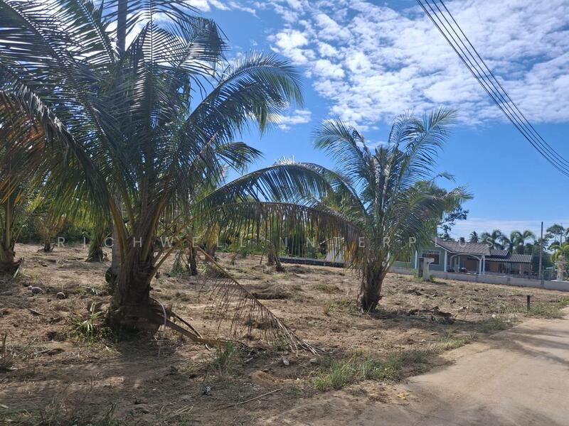 Land for sale in Pattaya, 1 rai, Chakaneaw, Soi Sanambin Huai Yai-Pattaya Airfield, Chon Buri (Pattaya), Huai Yai, Bang Lamung (Pattaya), Chon Buri (Pattaya), , 1,600 sqm, Land For Sale, by RICHWELL INTERPLUS, 11792249 - DDproperty.com