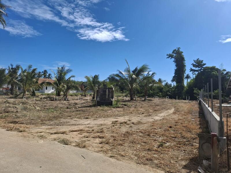 Land for sale in Pattaya, 1 rai, Chakaneaw, Soi Sanambin Huai Yai-Pattaya Airfield, Chon Buri (Pattaya), Huai Yai, Bang Lamung (Pattaya), Chon Buri (Pattaya), , 1,600 sqm, Land For Sale, by RICHWELL INTERPLUS, 11792249 - DDproperty.com