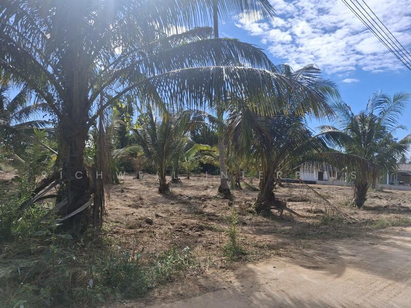 Land for sale in Pattaya, 1 rai, Chakaneaw, Soi Sanambin Huai Yai-Pattaya Airfield, Chon Buri (Pattaya), Huai Yai, Bang Lamung (Pattaya), Chon Buri (Pattaya), , 1,600 sqm, Land For Sale, by RICHWELL INTERPLUS, 11792249 - DDproperty.com