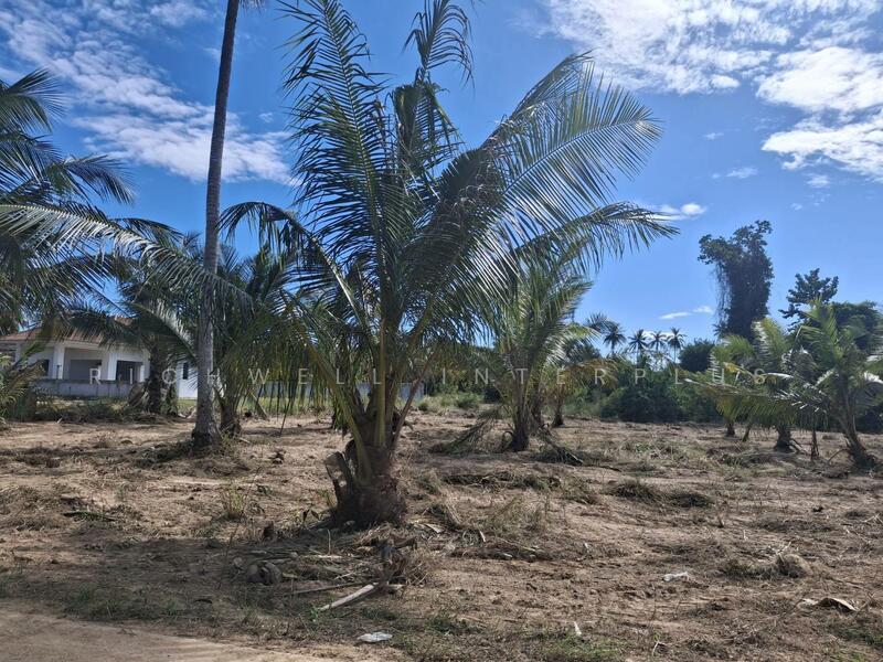 Land for sale in Pattaya, 1 rai, Chakaneaw, Soi Sanambin Huai Yai-Pattaya Airfield, Chon Buri (Pattaya), Huai Yai, Bang Lamung (Pattaya), Chon Buri (Pattaya), , 1,600 sqm, Land For Sale, by RICHWELL INTERPLUS, 11792249 - DDproperty.com