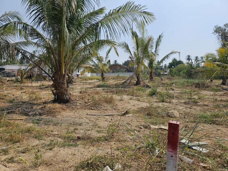 Land for sale in Pattaya, 1 rai, Chakaneaw, Soi Sanambin Huai Yai-Pattaya Airfield, Chon Buri (Pattaya), Huai Yai, Bang Lamung (Pattaya), Chon Buri (Pattaya), , 1,600 sqm, Land For Sale, by RICHWELL INTERPLUS, 11792249 - DDproperty.com