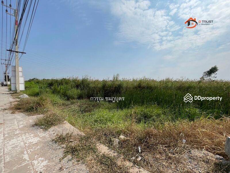 ให้เช่า - บ้านโพธิ์, ฉะเชิงเทรา