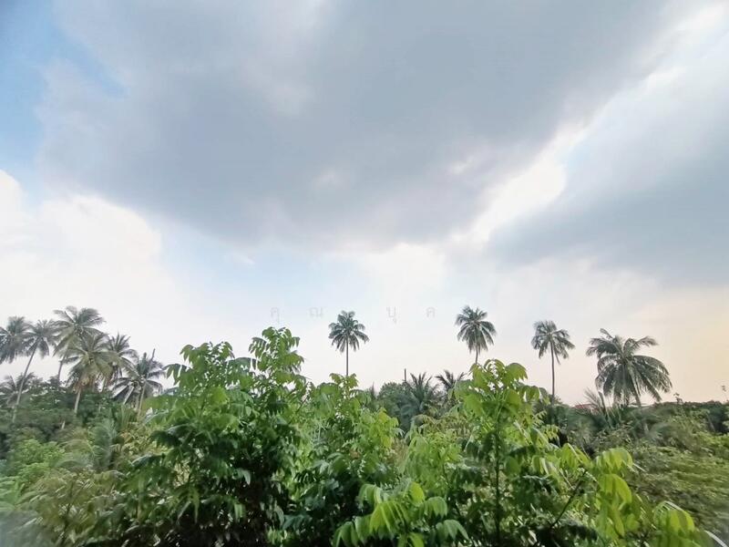 BEAT Bangwa Interchange : บีท บางหว้า อินเตอร์เชนจ์, กรุงเทพ, ถนนเทอดไท, บางหว้า, ภาษีเจริญ, กรุงเทพ, 27 ตร.ม., คอนโด ให้เช่า, โดย NATTAPHONG Yodmanotham (K. Book), 11794587 - DDproperty.com