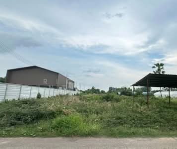 ขาย - ขายที่ดินท่าไข่ 5 ไร่ แปดริ้ว ติดคลองนครเนื่องเขต ติดถ.คอนกรีต ใกล้แยกสตาร์ไลท์ 2 กม., ฉะเชิงเทรา