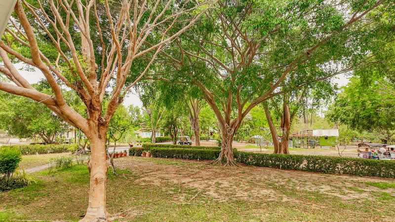 7R0389 This house for rent 2 bedroom 2 bathroom 50,000/month at rawai have fully furnished, ภูเก็ต, ราไวย์, เมืองภูเก็ต, ภูเก็ต, 120 ตร.ม., บ้านเดี่ยว ให้เช่า, โดย PK LIFE Property, 11797831 - DDproperty.com