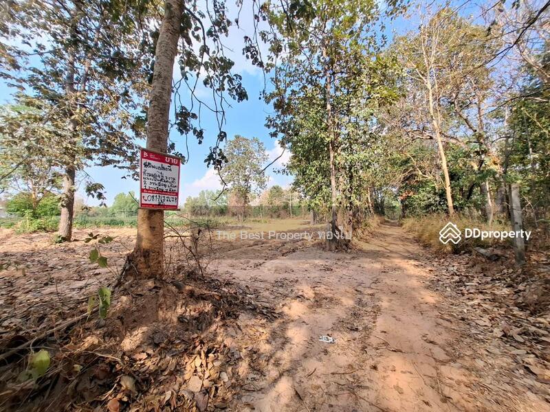 ขาย - ที่ดินบรบือ มหาสารคาม, มหาสารคาม