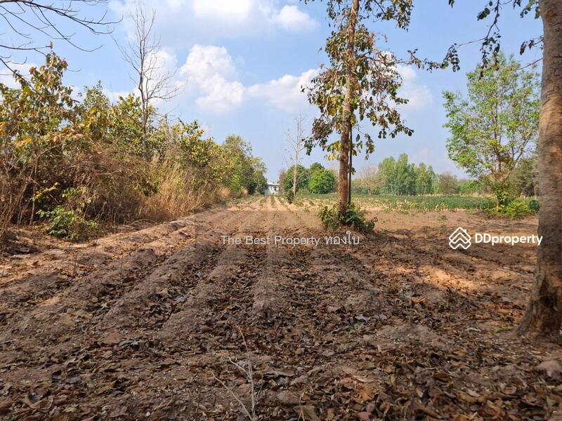 ขาย - ที่ดินบรบือ มหาสารคาม, มหาสารคาม
