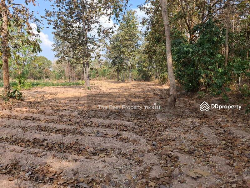 ขาย - ที่ดินบรบือ มหาสารคาม, มหาสารคาม