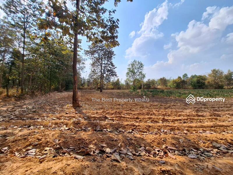 ขาย - ที่ดินบรบือ มหาสารคาม, มหาสารคาม