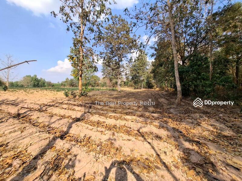ขาย - ที่ดินบรบือ มหาสารคาม, มหาสารคาม